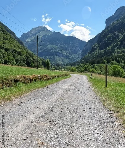 radtour auf einer forststrasse in der schweiz