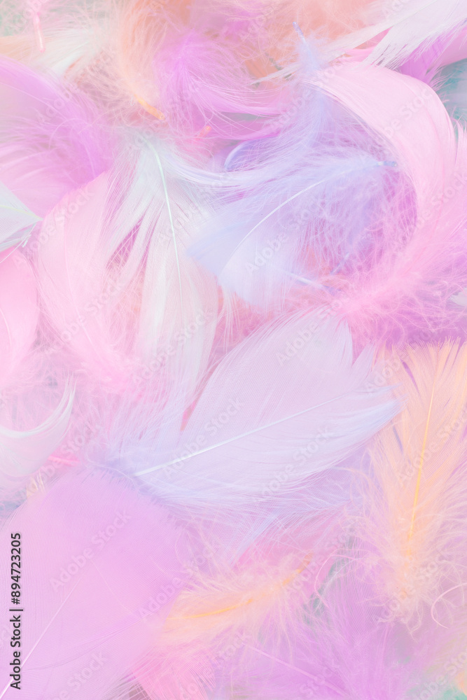 Colorful feather background, top view. Colorful feather background, top view.