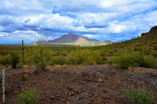 Sonora Desert Arizona Picacho Peak State Park photo