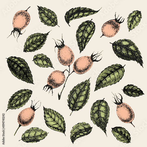 Collection of vintage flowers, leaves and berries of wild rose. Rose hip hand drawn, sketches, pointillism style.