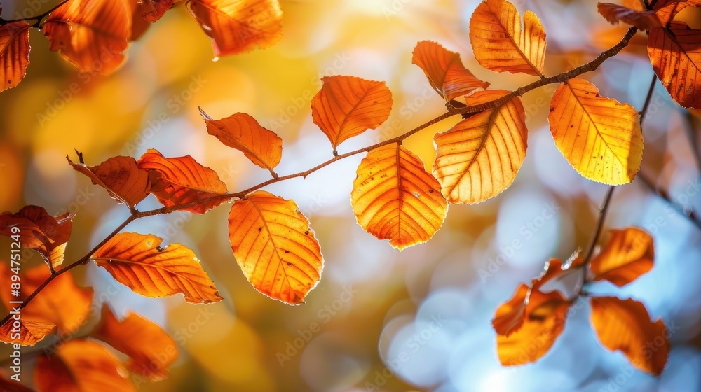 Vibrant autumn foliage on tree branches Vibrant autumn foliage on tree branches