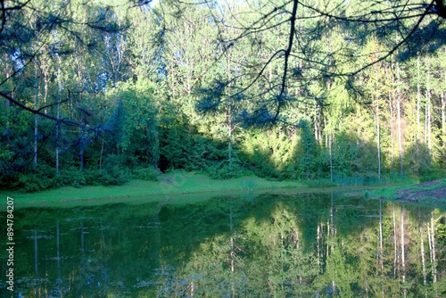 A lake in a forest with trees reflected in the water