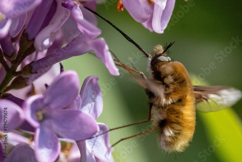Macro bugs