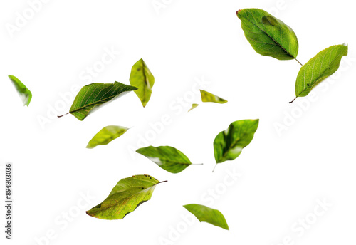 PNG Floating green leaves isolated background