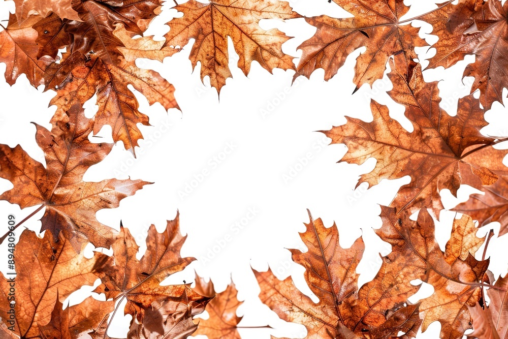 Autumn leaves frame isolated on white background. Generative Ai Autumn leaves frame isolated on white background. Generative Ai