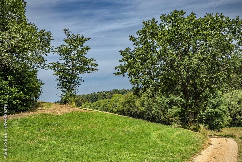 Summer landscape with green grass and trees, Eifel, Germany Summer landscape with green grass and trees, Eifel, Germany