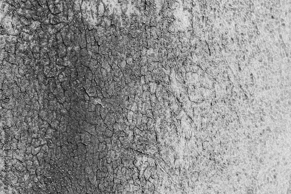 Obraz premium Cracked plaster texture. Old plastering pattern black and white monochrome background. Pencil sketch drawing illustration