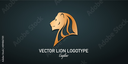 Royal king lion vector symbols. Elegant gold Leo logotype. Premium luxury brand identity banner. 