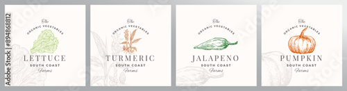 Organic Vegetables Logo Templates Set. Hand Drawn Lettuce, Pumpkin, Jalapeno and Turmeric Illustrations with Retro Typography. Premium Plant Based Vegan Food Badge Emblems Collection Isolated