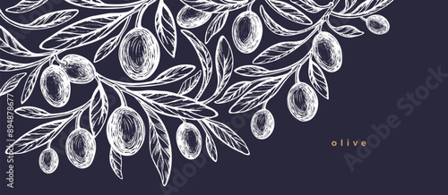 Olive design Vector tree, texture fruit Chalkboard