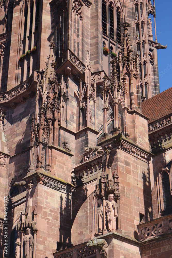 Obraz premium Catedral de Friburgo