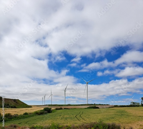 Beautiful landscape in the countryside with turbines