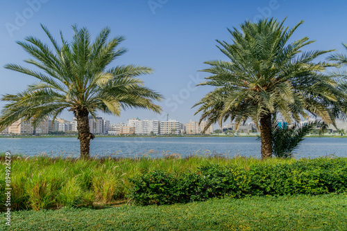 The palms and promenade (Corniche) at Jeddah waterfront, Saudi Arabia, during the hot summer day in the Middle East. 