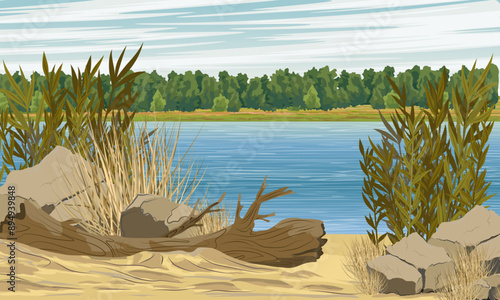 A river bank with thickets  and a fallen tree. Realistic vector landscape