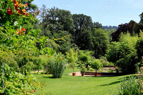 Sommer im Botanischen Garten in Freiburg photo