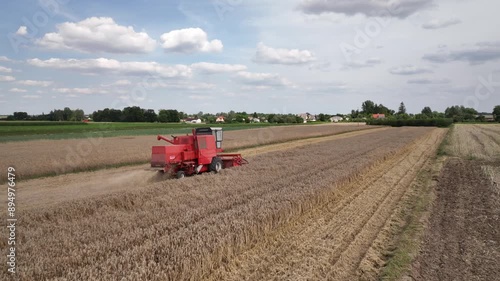 Żniwa, zbiór zbóż, kombajn Bizon