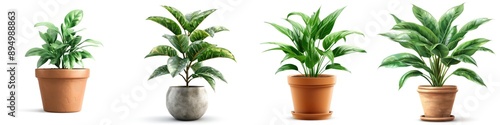 A collection of beautiful indoor plants in various pots showcasing lush green leaves, perfect for home decor inspiration.