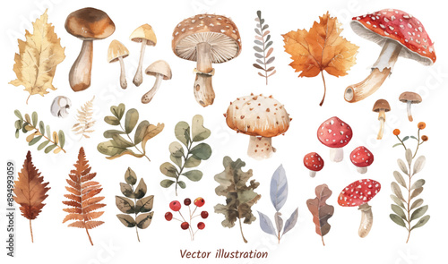 Autumn mushrooms and leaves watercolor clipart set vector illustration.