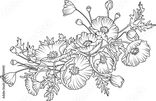 Poppy flower arrangement line art on white background. Silhouette botanical hand drawn element for wedding, invitation frame design, vector illustration