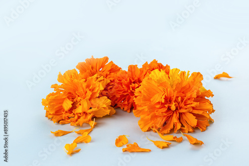 Marigold flowers on a blue background. Composition for the Day of the Dead and Indian holidays, Mockup card. copy space