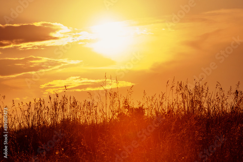 Beautiful sunrise over a meadow with grass on a summer morning