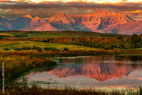 Stunning view of mountain range reflected in small lake at sunrise with warm golden red light, lighting the mountain face, the rolling hills and clouds in the background; Waterton, Alberta, Canada