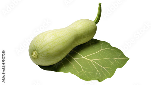 Healthy fresh vegetable bottle gourd