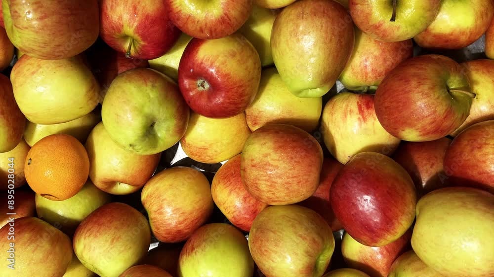 Fresh Apples fruit with top shot pattern, background rotation food, fresh and natural, organic and bio Fresh Apples fruit with top shot pattern, background rotation food, fresh and natural, organic and bio