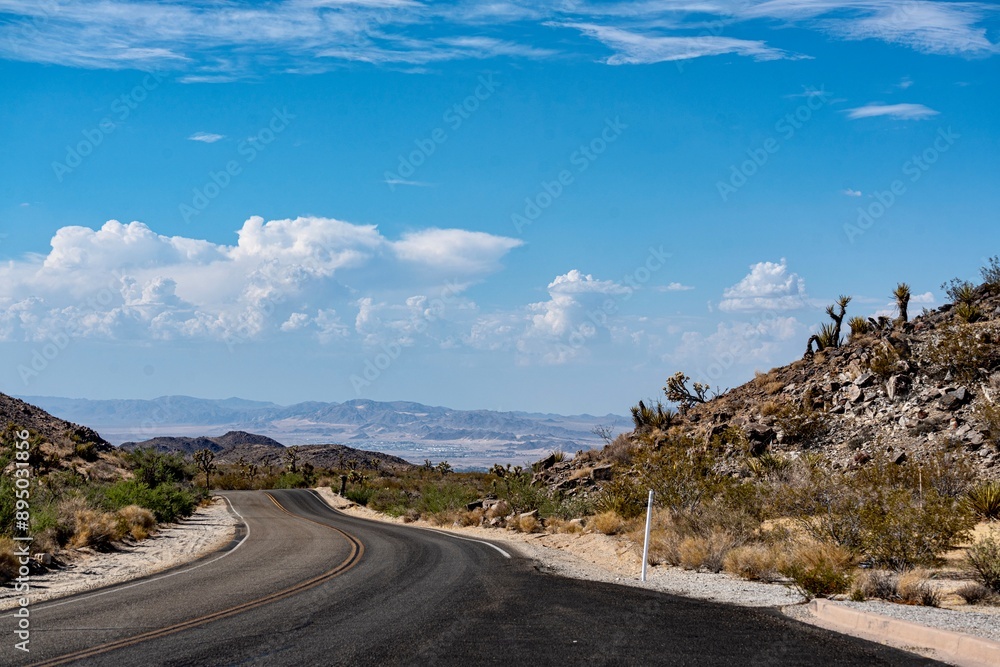 Joshua Trees, cacti, and other succulents and plants as seen on a bright summer day at in sunny Southern California