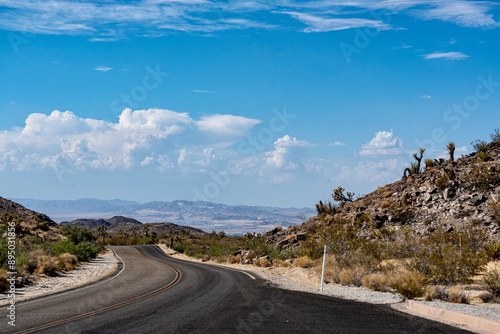 Joshua Trees, cacti, and other succulents and plants as seen on a bright summer day at in sunny Southern California 