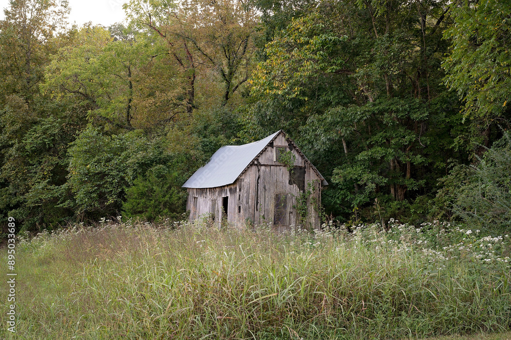 Abandoned wooden shack in a field surrounded by dense forest Abandoned wooden shack in a field surrounded by dense forest