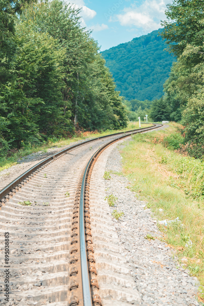 a railway track passing through mountains and forests
a railway track passing through mountains and forests