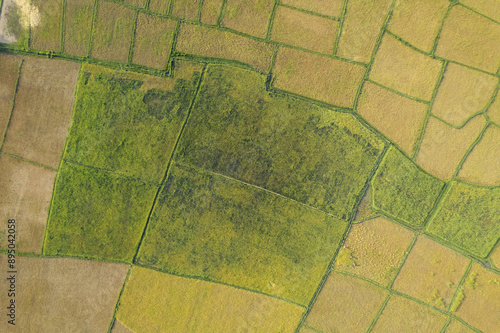 Aerial view of rice fields on divided farmland in Laos; Laos photo