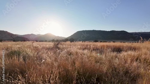 Savannah Skyline At Rustenburg In North West South Africa. African Animals Landscape. Pilanesberg National Park. Rustenburg At North West South Africa. Big Five Animals. Wildlife Safari.