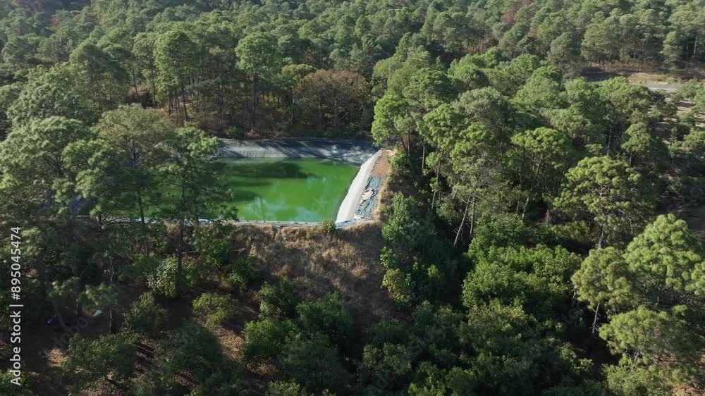 DRONE SHOT OF AVOCADO FARM IN MICHOACAN AND A BIG WATER CATCHMENT POD DRONE SHOT OF AVOCADO FARM IN MICHOACAN AND A BIG WATER CATCHMENT POD