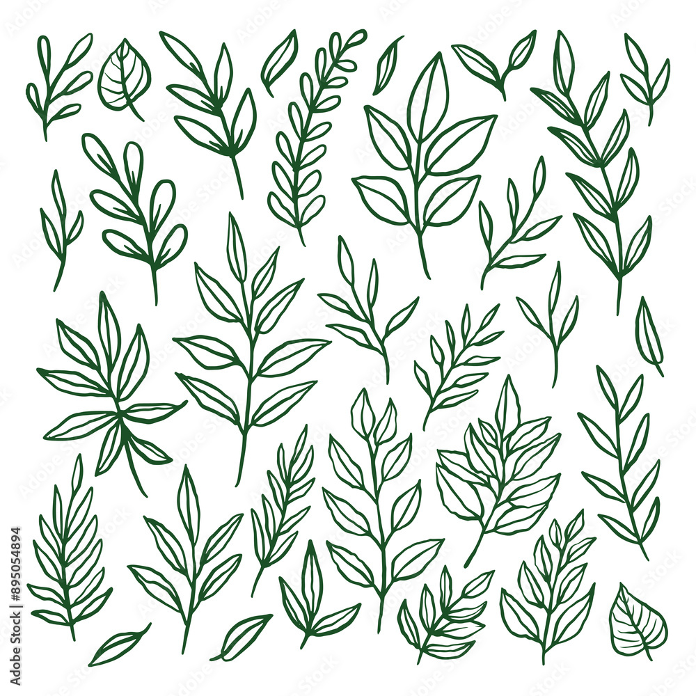 Set of leaves line art illustration vector Set of leaves line art illustration vector