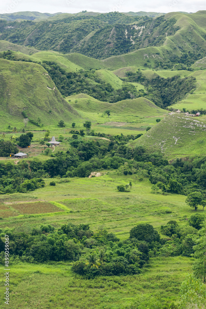 Green landscape with hills, fields and trees in Puru Kambera Savannah, Nusa Tenggara Timur, Indonesia; Mondu, Kecamatan Kanatang, Kabupaten Sumba Timur, Nusa Tenggara Timur, Indonesia Green landscape with hills, fields and trees in Puru Kambera Savannah, Nusa Tenggara Timur, Indonesia; Mondu, Kecamatan Kanatang, Kabupaten Sumba Timur, Nusa Tenggara Timur, Indonesia