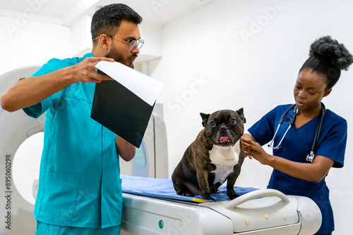 Serious dog having examination at the doctors in the clinic