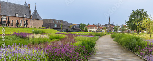 Beautiful park and garden with purple and blue flowers near the city hall and castle of Coevorden in Drenthe The Netherlands