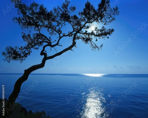 Moonbeam. Silhouettes of Trees Against Tranquil Sea, Beautiful Background