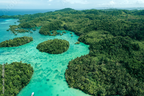 Tropical beauty along a coastline with aquamarine water and lush vegetation in Sulawesi Tengah, Indonesia; Bentean, Kecamatan Bulagi Selatan, Kabupaten Banggai Laut, Sulawesi Tengah, Indonesia photo