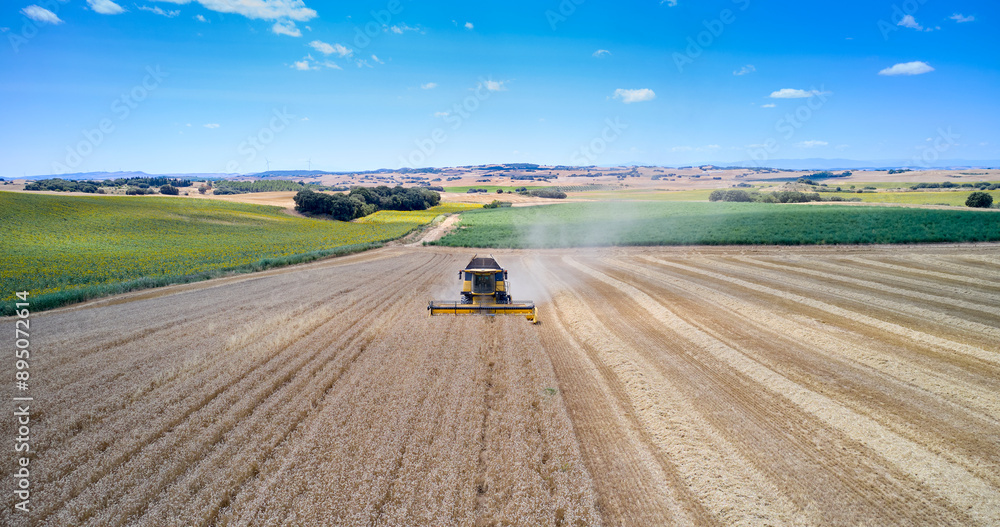Fototapeta premium Combine Harvester in a Wheat Field, Oteiza