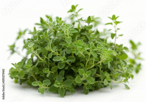 Fresh Thyme Sprigs on White Background