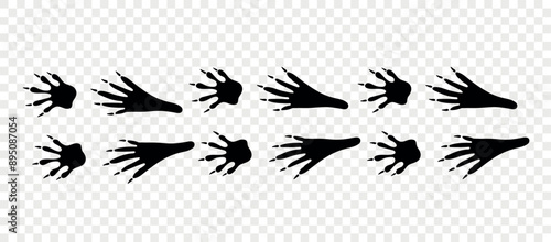 Footpath trail of animals. Raccoon paws. Raccoon paws walking randomly print vector isolated on checkered background.