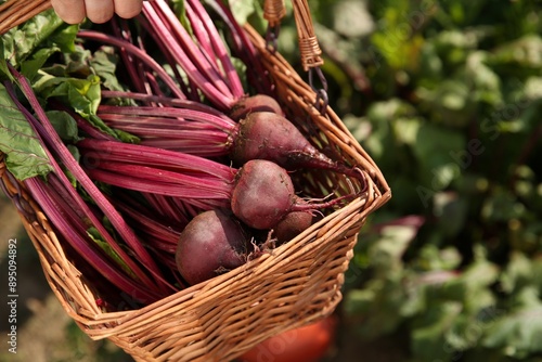 Woman with freshly harvested beetroots outdoors, closeup