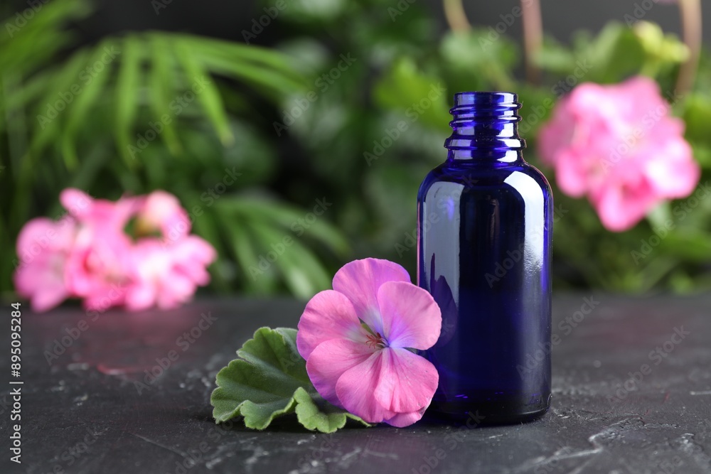 Bottle of geranium essential oil and beautiful flower on black table, closeup Bottle of geranium essential oil and beautiful flower on black table, closeup