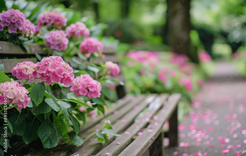 Pink Hydrangeas On A Bench Pink Hydrangeas On A Bench
