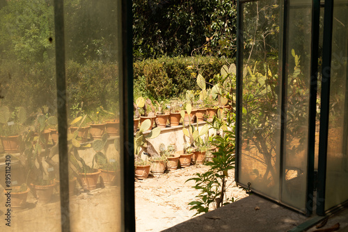 A view of a garden through ...
