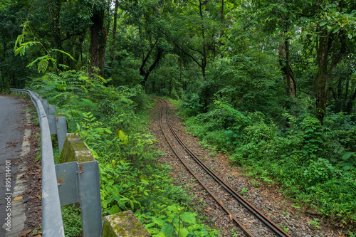 Toy train line, narrow gauge train line passing through Himalayan jungle. Darjeeling Himalayan Railway, narrow gauge railway between New Jalpaiguri and Darjeeling.