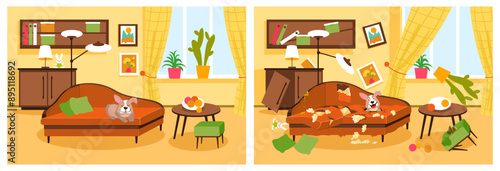 Clean and dirty interior. Room before or after cleaning. Torn sofa. Soiled upholstery. Naughty dog lying around ripped objects. Cozy furniture. Home furnishing. Splendid vector concept
